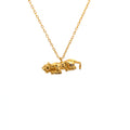 Collar Otorongo